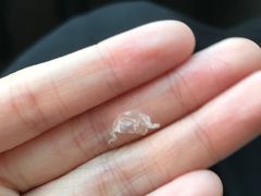 -1点点(国浩长风城商业广场店)