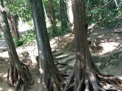 -西湖风景区十里琅珰-五云山