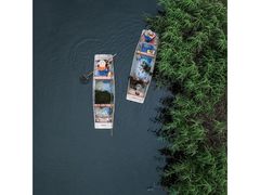 -荷塘月色湿地公园·向阳花洲