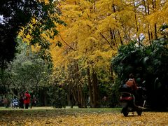 -西南交通大学(九里校区)