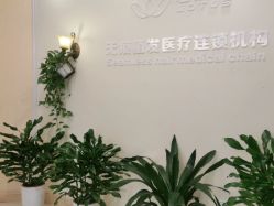 -碧莲盛·不剃发植发