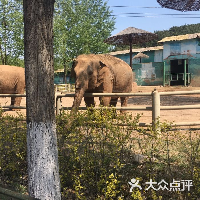 瀋陽森林動物園