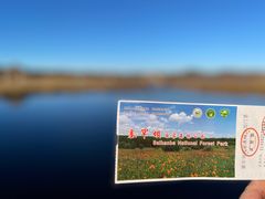 -塞罕坝国家级自然保护区