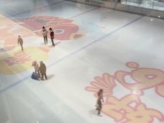 -TheRink大零溜冰场(IFS国金中心店)