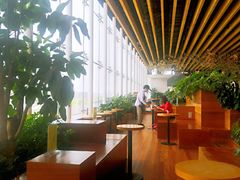 -Seesaw Coffee(朝阳大悦城店)