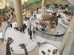 -陕西自然博物馆