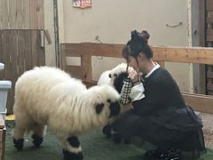 -HERRE·FARM 赫尔露营农场·团建聚会包场