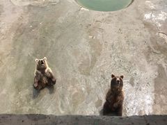 -哈尔滨北方森林动物园