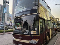 -Big Bus Tours 敞篷观光巴士