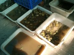 -中环花鸟鱼虫市场