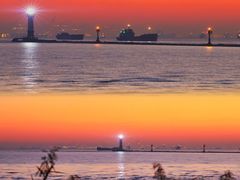 -上海吴淞炮台湾国家湿地公园