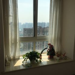 -尔素·半永久纹眉·野生眉