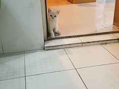 -成都民大动物医院