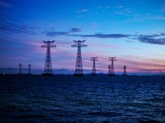 -宝安西湾红树林湿地公园