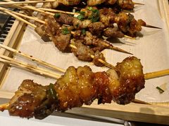 -山野的朋友露营炭火烤肉