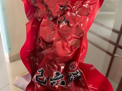 -王浩儿纪六孃甜皮鸭(乐山总店)