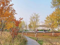 -坝河休闲公园
