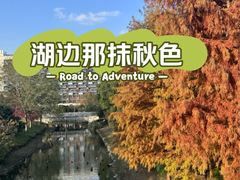 -上海浦江郊野公园-2号停车场