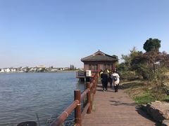 -鹅湖玫瑰文化园