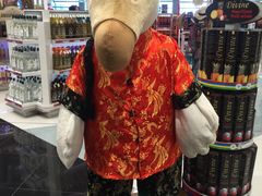 -西沃古尔·拉姆古兰爵士国际机场