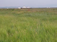 -敕勒川草原