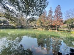 -杭州花家山庄