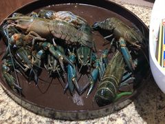 -丰卓会海鲜自助(中润大道店)