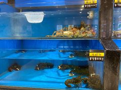 -翠林云庄大酒店