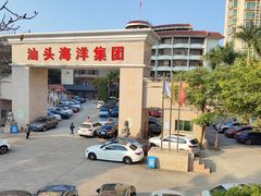 -阿群甘草水果
