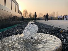 -莲花山花海