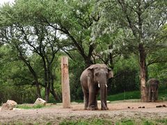 -北京野生动物园
