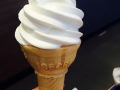 火炬冰激凌-汉堡王(嘉定宝龙城市广场)