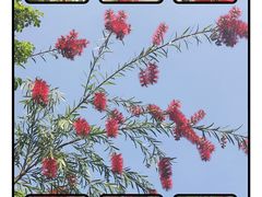 -沙河三洞古桥公园