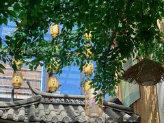 -大理董·董家小厨野生菌火锅(古城旗舰店)