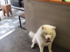 -研途咖啡馆(健康路店)