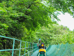 -九皇山景区