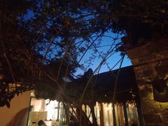 -喵屿·大理花园猫咖