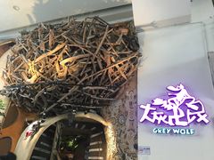 -大灰狼(中心书城店)