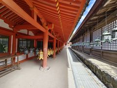 -奈良公园