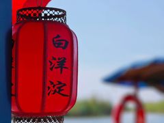 -白洋淀风景区
