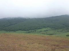 -塞罕坝国家级自然保护区