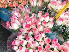 -循礼门鲜花花市(武汉循礼门店)