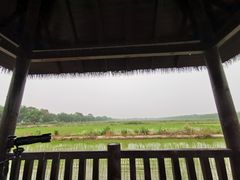 -西青郊野公园