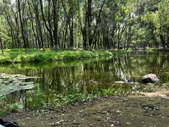 -长白岛森林公园