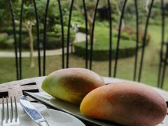 -三亚亚龙湾万豪度假酒店