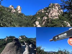 -大岭沟猕猴桃谷风景区
