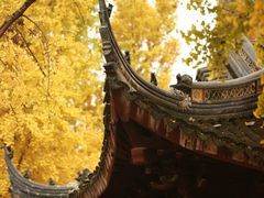 -苏州上方山国家森林公园