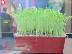 -番食园鲜食火锅(高新店)