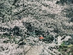 -杭州少年儿童公园