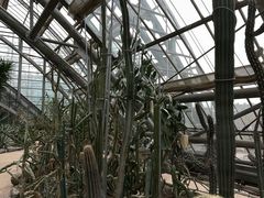 -南山植物园